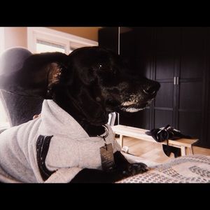 Meet your Posher, Chloe